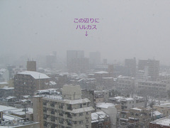 20140214雪.jpg